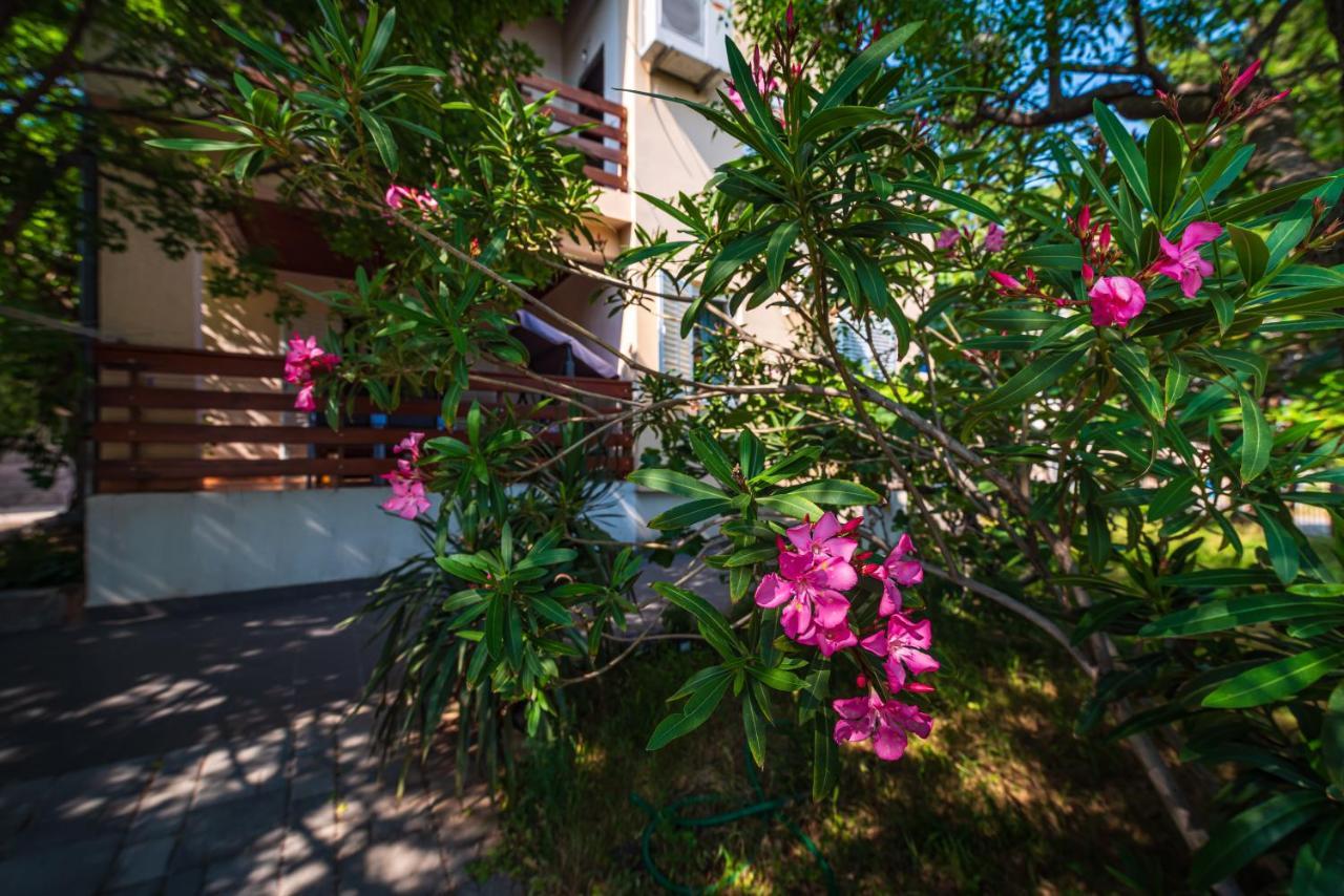 קרלובג Vacation House Anna מראה חיצוני תמונה